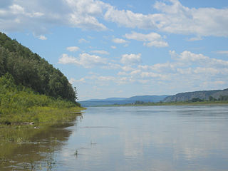 <span class="mw-page-title-main">Amur</span> Major river in the Russian Far East and Northeast China