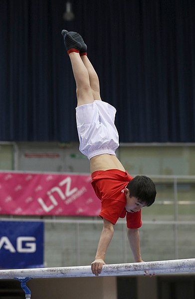 File:Austrian Future Cup 2018-11-23 Training Afternoon Parallel bars (Martin Rulsch) 0001.jpg