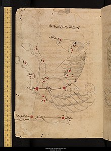 Pegasus from Al-Sufi's Book of Fixed Stars, dated 1009-10 Auv0164 pegasus.jpg