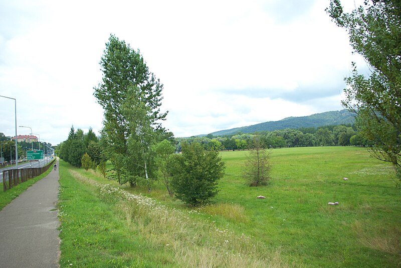 File:Błonie Sanok green space.jpg