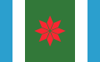 Navarro partido zászlaja