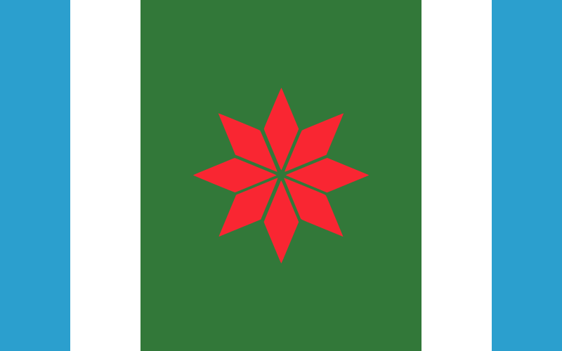 File:Bandera del Partido de Navarro.svg