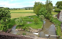 Baunach (Fluss) bei Grafenholz.jpg