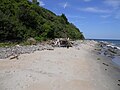 Driftwood shelter on the beach