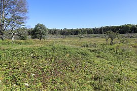 Beall North Trail