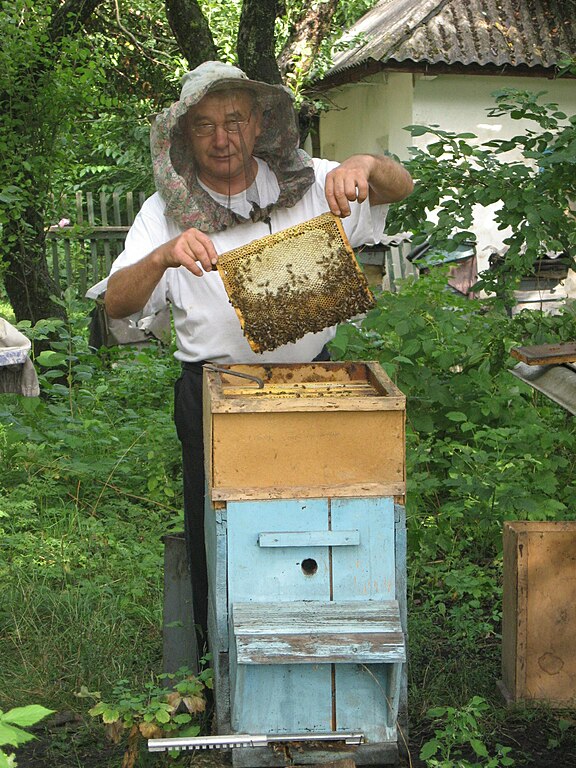 Beekeeper - Wikipedia