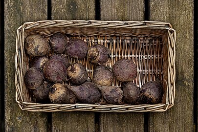 Beetroots in a basket