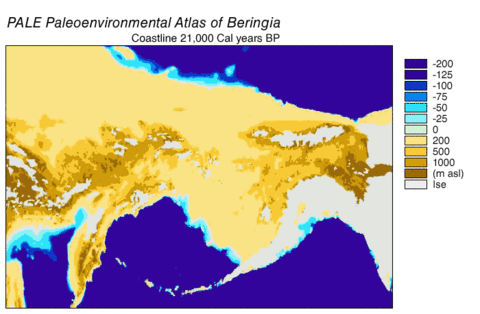 Paleoshorelines illustrated: Beringia sea levels (blues) and land elevations (browns) measured in metres from 21,000 years ago to present Beringia land bridge-noaagov.gif