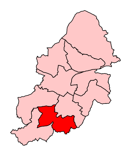 BirminghamSellyOak2007Constituency