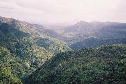 Le parc national des gorges de Rivière Noire.