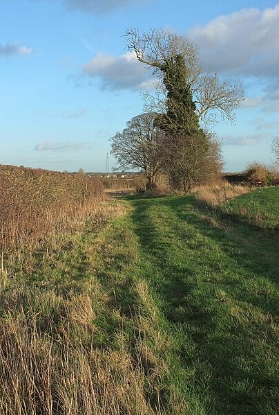 File:Braham Lane - geograph.org.uk - 4787493.jpg