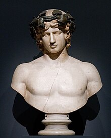 Bust Antinous Hermitage GR-4220 n1.jpeg