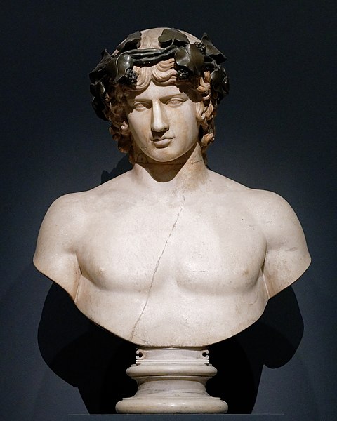 Archivo:Bust Antinous Hermitage GR-4220 n1.jpeg
