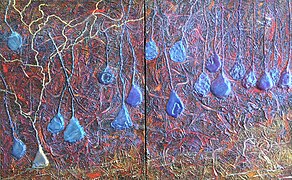 February 23: A painting of pyramidal neurons in the subiculum and CA1.