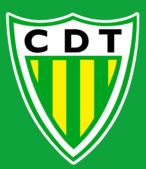 CDT logo 2021.png