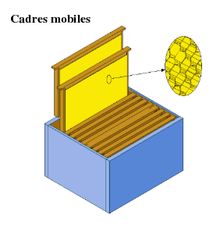 Composition d'une ruche  Plans de ruche, Ruche apiculture, Ruche