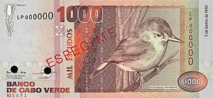 Соловка Кабо-Верде (Acrocephalus brevipennis) была изображена на банкноте в 1000 CVE, которая находилась в обращении с 1992 по 2005 год.