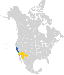 Carduelis lawrencei map.svg
