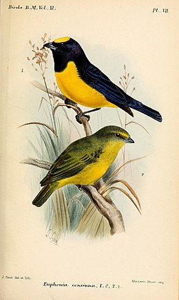 Catalogue des oiseaux du British Museum (1882) (14565438910) .jpg