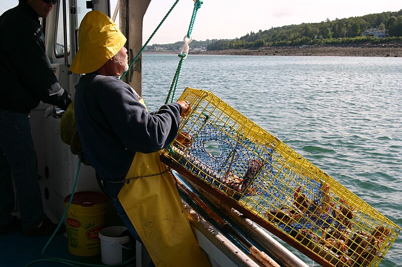 File:Catching crabs.jpg