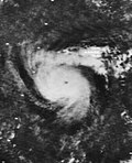 Thumbnail for Hurricane Celia