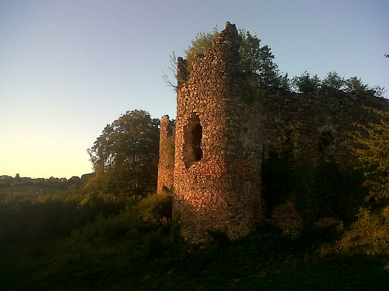 File:Chateau de Montgilbert "tour du belvedere" 03.jpg