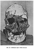 Cráneo completo del hombre de Cheddar. Se recuperó el esqueleto completo del enterramiento de hace más de 9000 años.