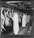 Chicago meat inspection swift co 1906.jpg