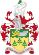 Ashford Borough - Wapenschild