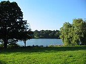 Fotografía en color de un prado arbolado con vistas a un lago.