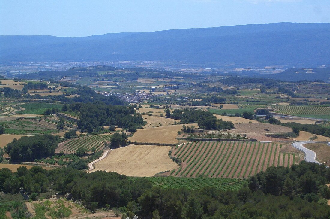 Conca de Barberà