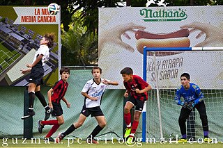 <span class="mw-page-title-main">Football in the Dominican Republic</span>