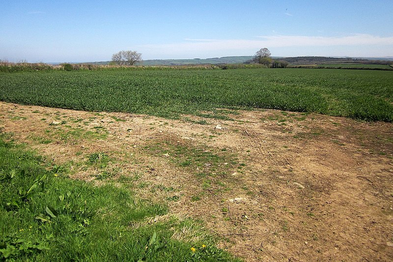 File:Crop north-west of Venterdon - geograph.org.uk - 4702882.jpg