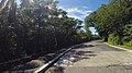 Cuvu, Fiji - panoramio (7).jpg