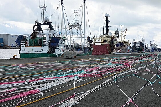 Fishing net lines lying to dry on the quay at Thyborøn, Denmark