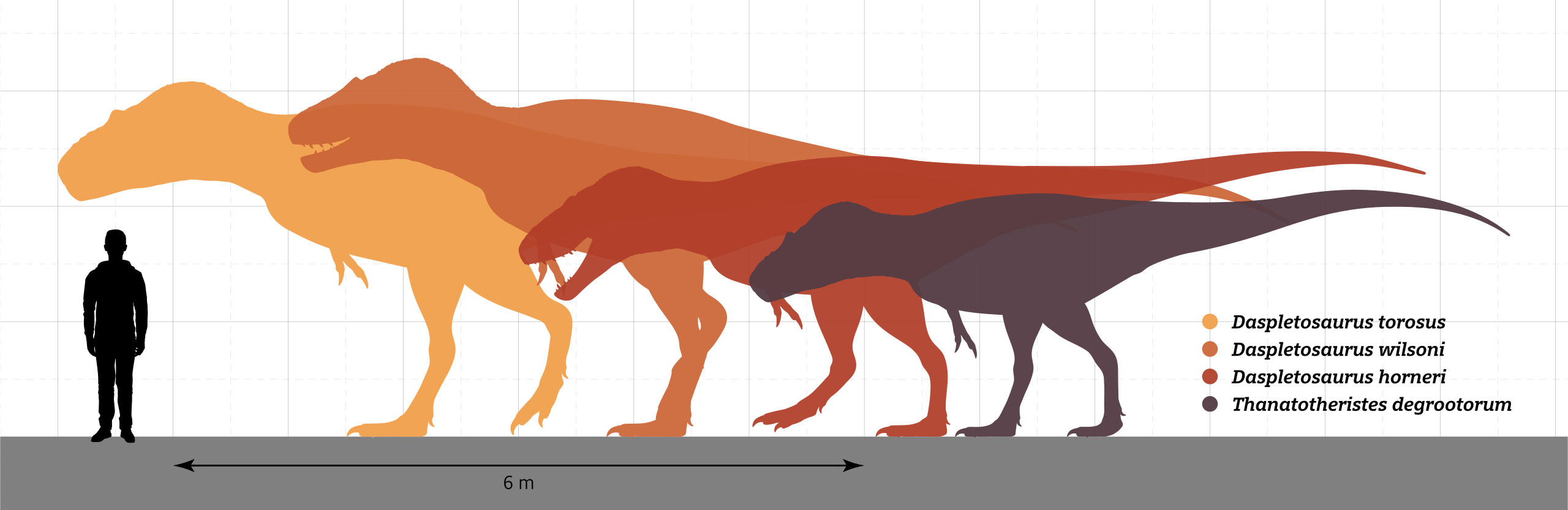 File:Xuanhanosaurus qilixiaensis size comparison.png - Wikipedia