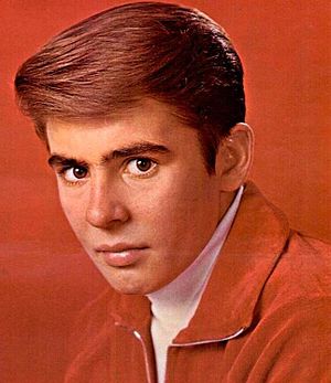 Musician Davy Jones