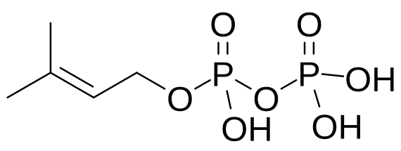 File:Dimethylallylpyrophosphate.svg