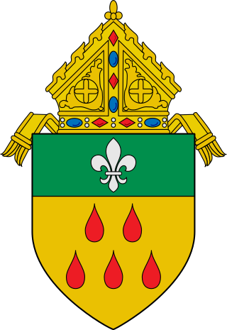 <span class="mw-page-title-main">Roman Catholic Diocese of Catarman</span> Roman Catholic diocese in the Philippines
