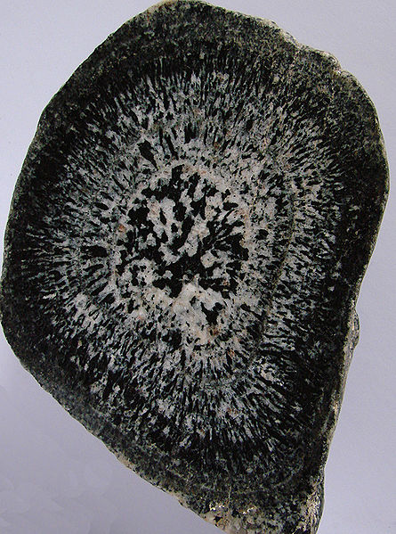 File:Diorite orbiculaire.jpg