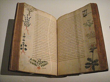 Dioscorides' De Materia Medica, Byzantium, 15th-century manuscript, by which time the text had been in circulation for about 1500 years Dioscorides De Materia Medica Byzantium 15th century.jpg