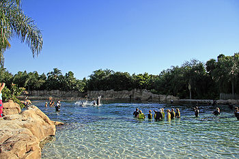 Discovery Cove amusement park