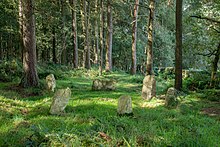 View of Doll Tor as seen from the east Doll Tor stone circle, Derbyshire.jpg