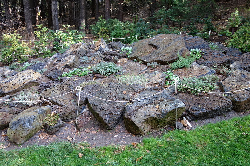 File:Dunsmuir Botanical Gardens - DSC02919.JPG