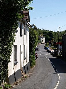 A picture of a road lined with tall trees. On the left side, there is a large white building in the foreground.