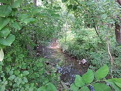 East Falls Church culvert entrance in 2020