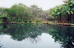 Ecuador: Geographie, Umwelt- und Naturschutz, Bevölkerung