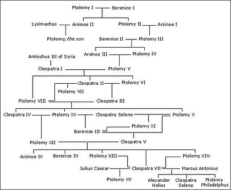 Dinastia ptolemaica – Wikipédia, a enciclopédia livre
