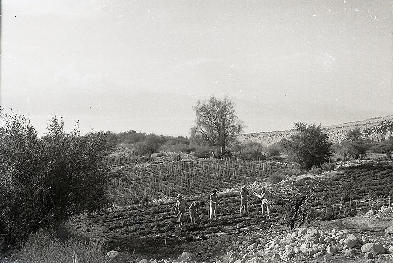 File:Ein Gedi (997008136675005171).jpg