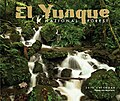 ElYunque Cover LoRes.jpg